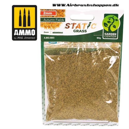 AMIG 8803 Static Grass - Autumn Fields – 2mm
